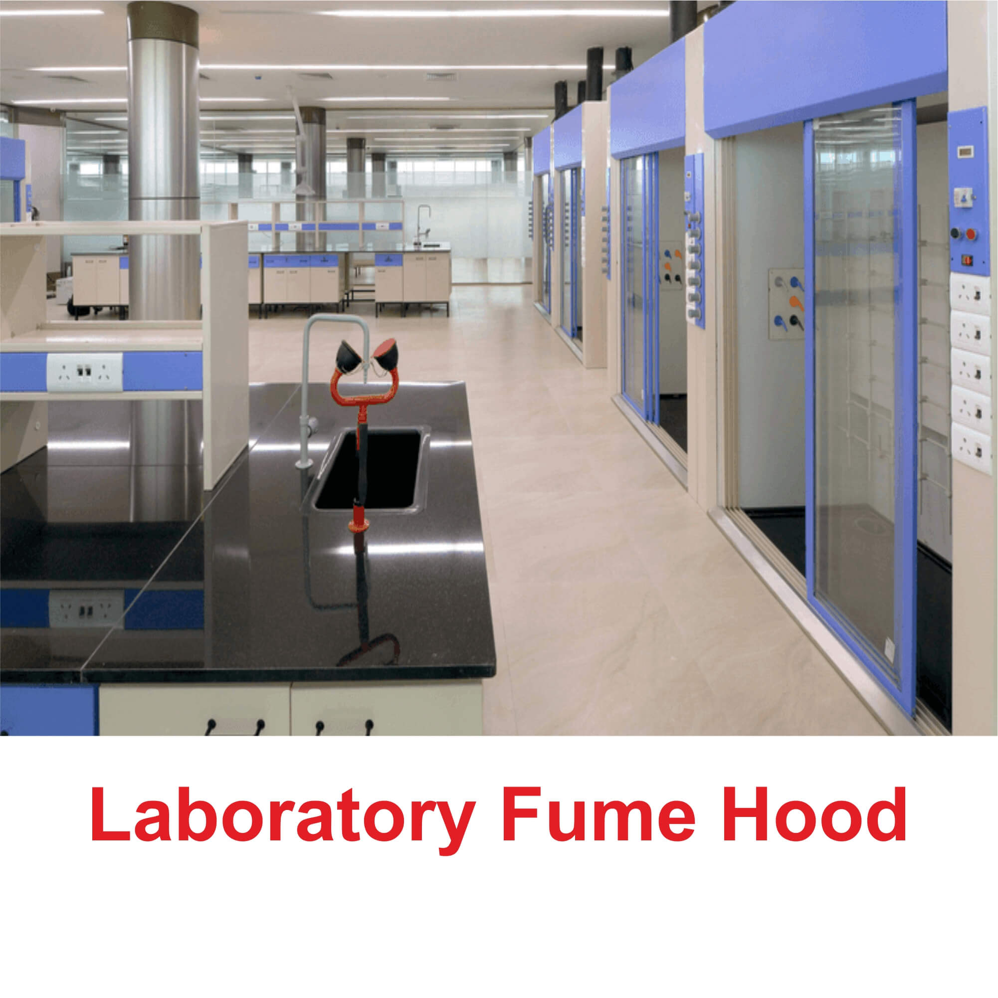 Laboratory Fume Hood Manufacturer in India