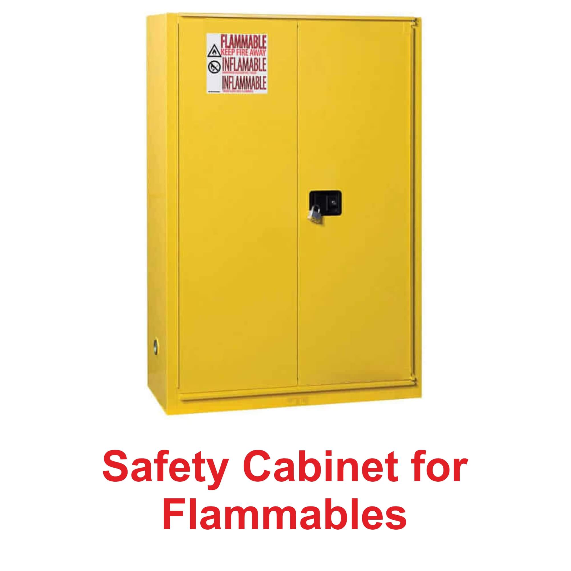 Safety Cabinet for Flammables Manufacturer in India